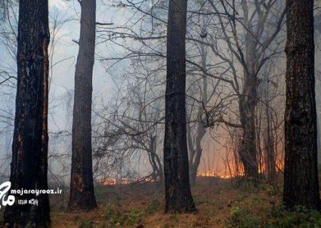 مهار حریق ۱۰ هزار متر مربع از جنگل های منطقه لاکان رشت