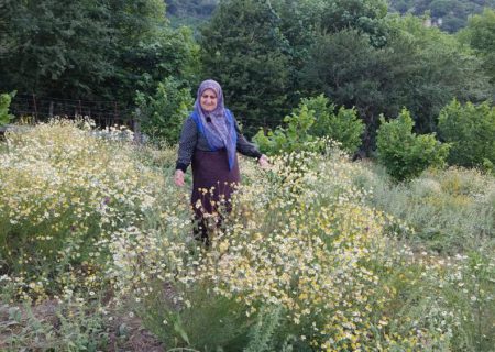 بانوی کارآفرین گیلانی که با کارگران خود شریک می شود