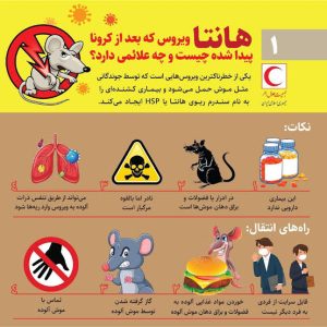 هانتا