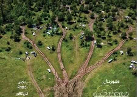 شبی برای «محیط زیست از نگاه هنرمندان»