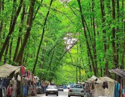 آماده‌سازی تونل سبز گیلان برای رقابت جهانی