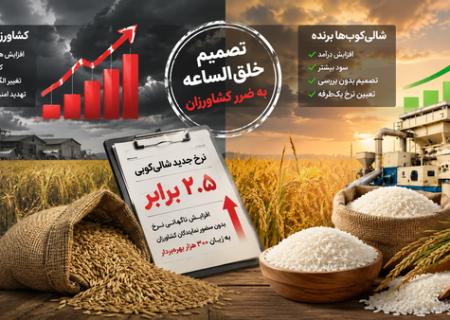 تصمیم خلق‌الساعه جهاد کشاورزی؛ «شالی‌کوب‌ها برنده، کشاورزان بازنده»